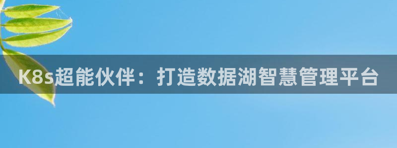 多多28g凯捷注册：K8s超能伙伴：打造数据湖智慧管理平台