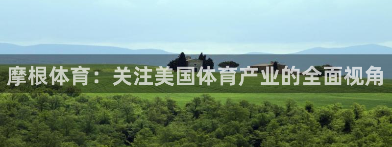多多28g体育合法嘛：摩根体育：关注美国体育产业的全面视角