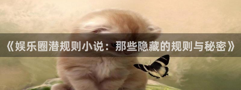 多多28g2平台：《娱乐圈潜规则小说：那些隐藏的规则与秘密》