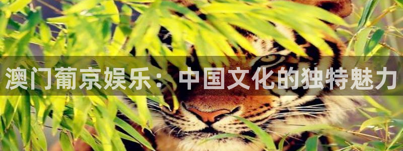 多多28g平台总代理：澳门葡京娱乐：中国文化的独特魅力