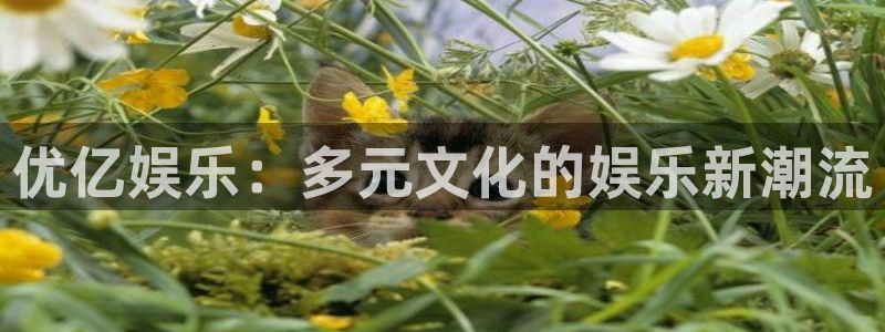 多多28g体育f开号：优亿娱乐：多元文化的娱乐新潮流