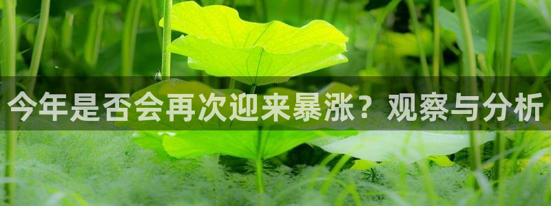 多多28g3登陆：今年是否会再次迎来暴涨？观察与分析