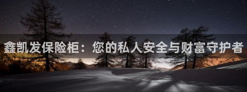 多多28g3平台登录注册：鑫凯发保险柜：您的私人安全与财富守护者