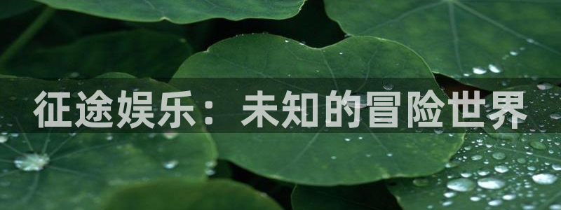 多多28g体育2官网入口：征途娱乐：未知的冒险世界