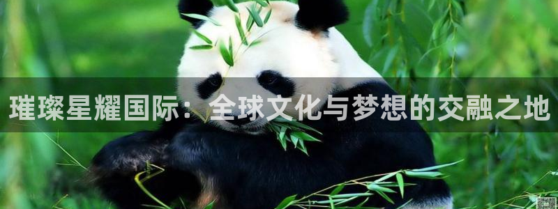 多多28g登录界面入口：璀璨星耀国际：全球文化与梦想的交融之地
