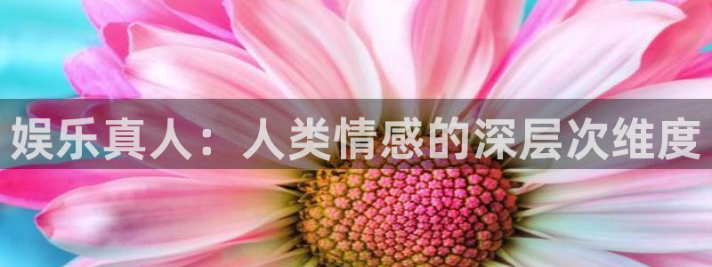 多多28g体育2官网入口：娱乐真人：人类情感的深层次维度