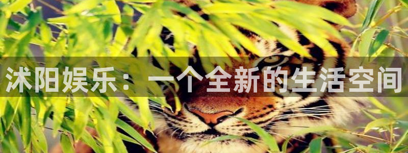 多多28g4登录：沭阳娱乐：一个全新的生活空间