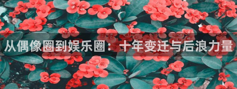 多多28g2注册：从偶像圈到娱乐圈：十年变迁与后浪力量