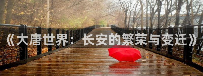 多多28g2登录入口：《大唐世界：长安的繁荣与变迁》