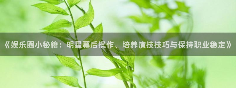多多28g4：《娱乐圈小秘籍：明星幕后操作、培养演技技巧与保持职业稳定》