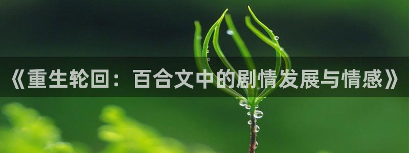 多多28g3：《重生轮回：百合文中的剧情发展与情感》