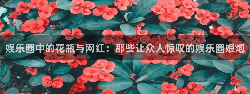 www.多多28g体育.com：娱乐圈中的花瓶与网红：那些让众人惊叹的娱乐圈娘炮