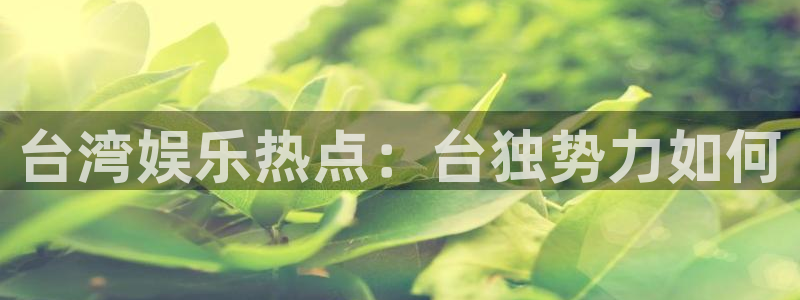 多多28g2平台：台湾娱乐热点：台独势力如何