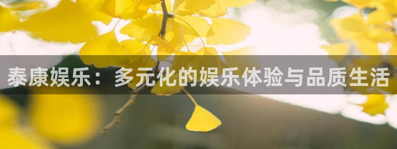 多多28gvk：泰康娱乐：多元化的娱乐体验与品质生活