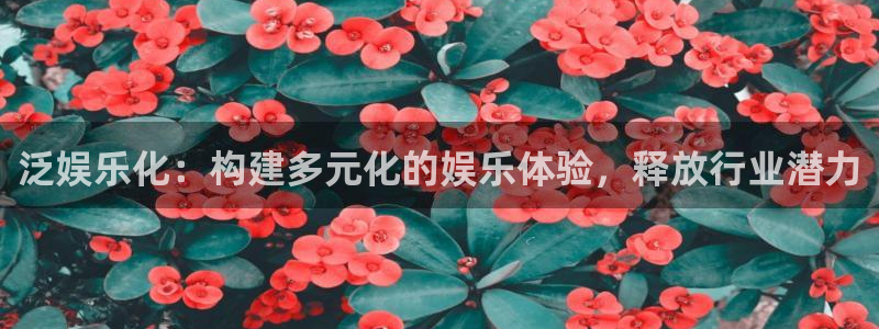 多多28g体育f开户：泛娱乐化：构建多元化的娱乐体验，释放行业潜力