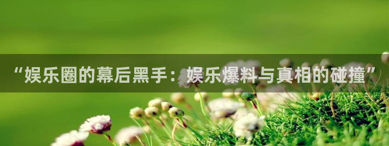 多多28g平台开户链接：“娱乐圈的幕后黑手：娱乐爆料与真相的碰撞”