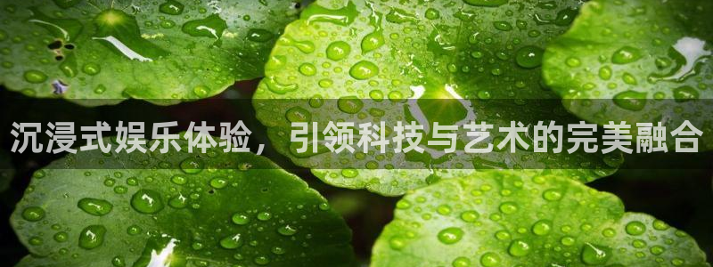 多多28g体育f开户：沉浸式娱乐体验，引领科技与艺术的完美融合