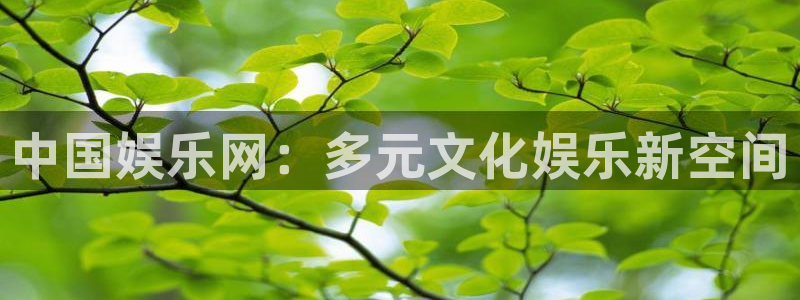 多多28g体育1招商