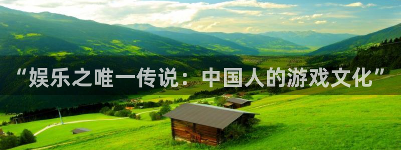 多多28g2代理注册：“娱乐之唯一传说：中国人的游戏文化”