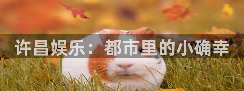 多多28g体育平台开号链接：许昌娱乐：都市里的小确幸