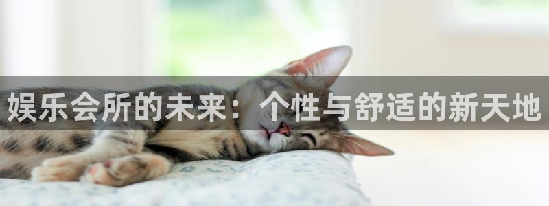 多多28g5招商：娱乐会所的未来：个性与舒适的新天地