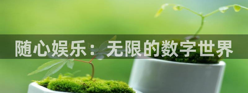 多多28g体育代理：随心娱乐：无限的数字世界