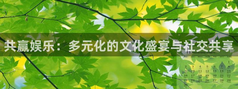 多多28g体育网页版入口：共赢娱乐：多元化的文化盛宴与社交共享
