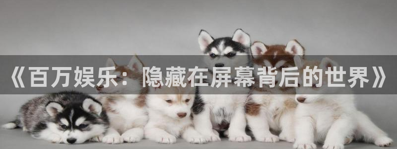 多多28gf凯捷平台在线注册：《百万娱乐：隐藏在屏幕背后的世界》