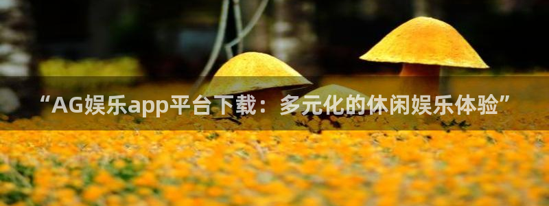 多多28g体育凯捷登陆：“AG娱乐app平台下载：多元化的休闲娱乐体验”