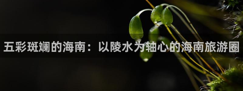 多多28g4登录：五彩斑斓的海南：以陵水为轴心的海南旅游圈