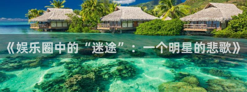 多多28gf凯捷平台在线注册：《娱乐圈中的“迷途”：一个明星的悲歌》