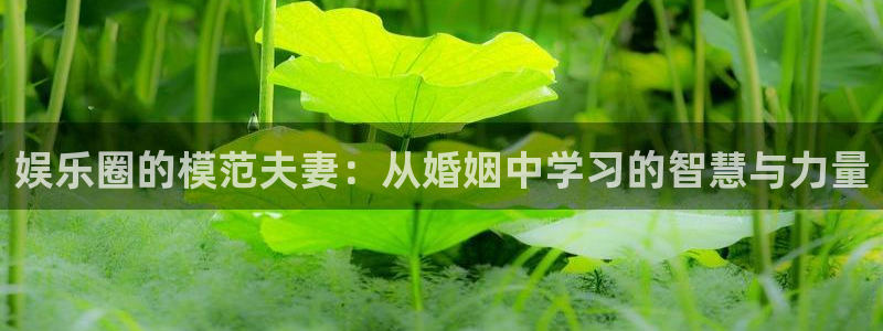 多多28g平台：娱乐圈的模范夫妻：从婚姻中学习的智慧与力量