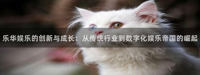 多多28g4：乐华娱乐的创新与成长：从传统行业到数字化娱乐帝国的崛起