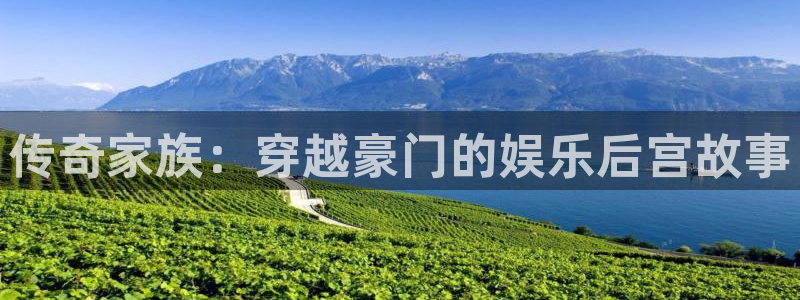 多多28g4：传奇家族：穿越豪门的娱乐后宫故事