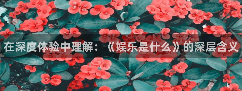 多多28g体育注册登录入口：在深度体验中理解：《娱乐是什么》的深层含义